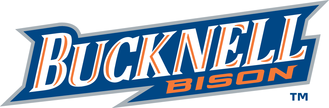 Bucknell Bison 2002-Pres Wordmark Logo v2 diy DTF decal sticker